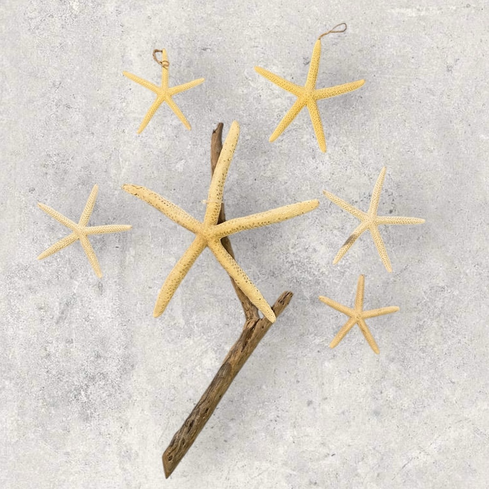 Starfish Driftwood Star & Five Smaller Starfish Ornaments Good Condition!